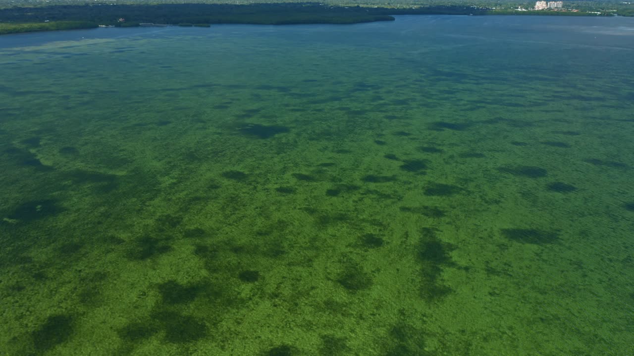 Le acque costiere poco profonde rivelano ampie praterie sottomarine con chiazze scure sparse. La costa in lontananza mostra strutture urbane e terra verde, il tutto sotto un orizzonte di cielo nuvoloso