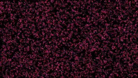 color noise background loop material motion graphics