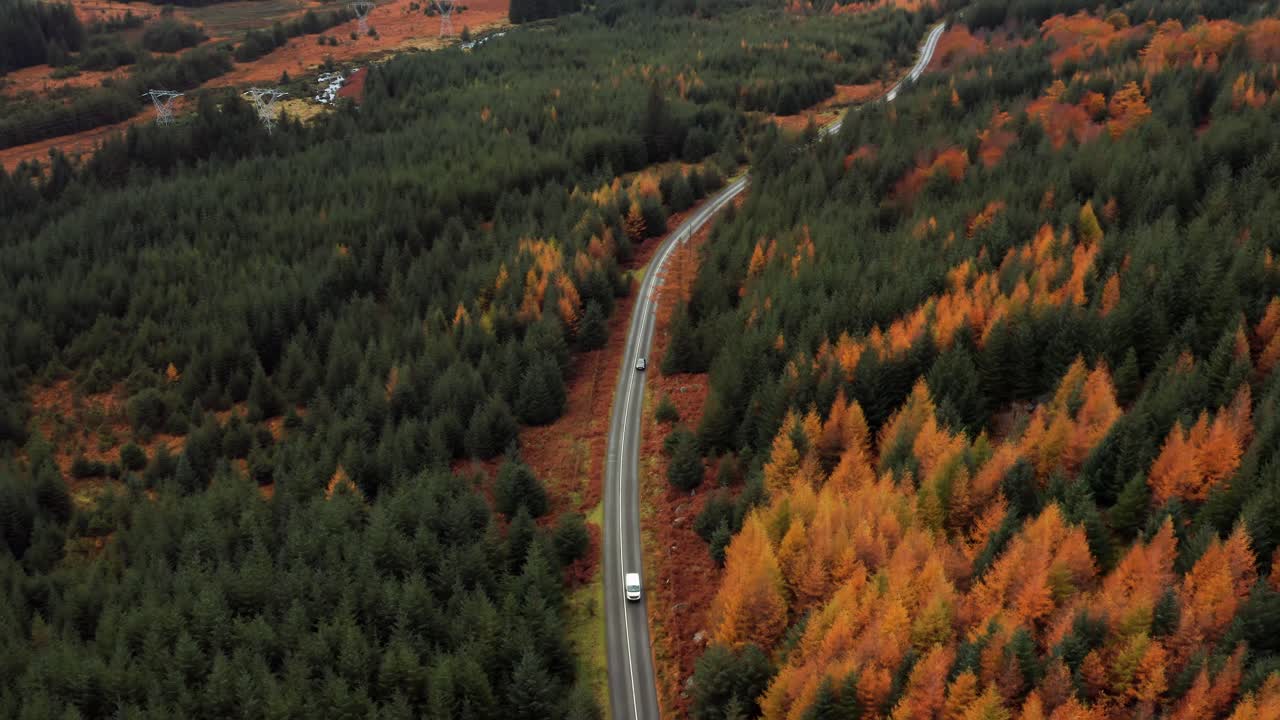 Aerial view of cars driving through pine forest in the Wicklow Mountains during vibrant autumn foliage season