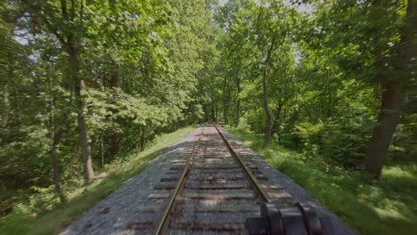 a ride in the cab view, of an antique steam engine, riding along a single track in the woods on a sunny day