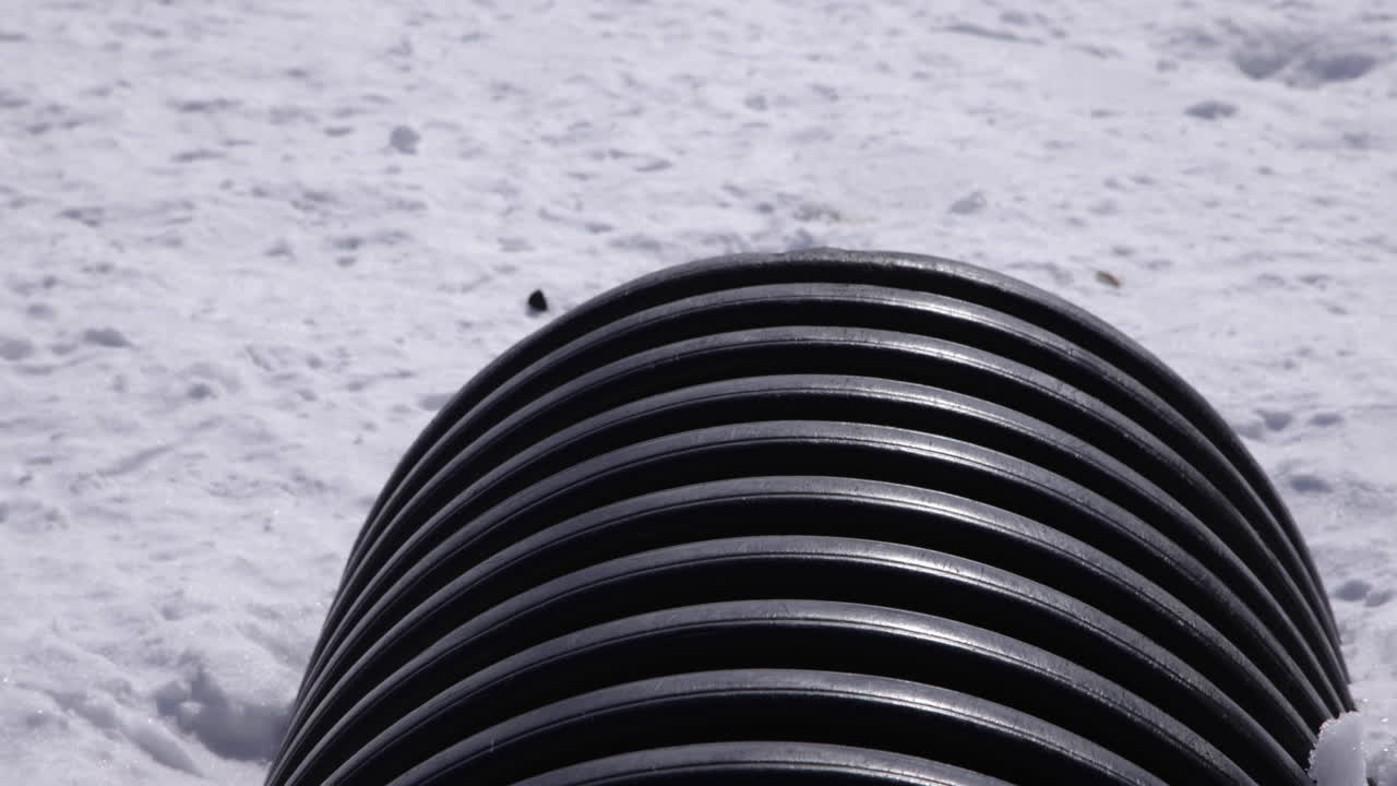 여우는 겨울 눈에 가까이