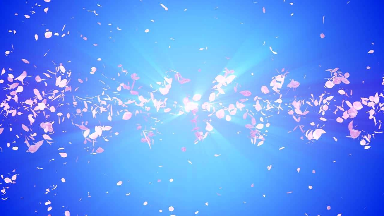 꽃의 나선형 반이는 입자, 사쿠라 패턴, 일본의 꽃 춤, 분홍색 꽃잎의 소용돌이, 추상적인 루프 애니메이션.