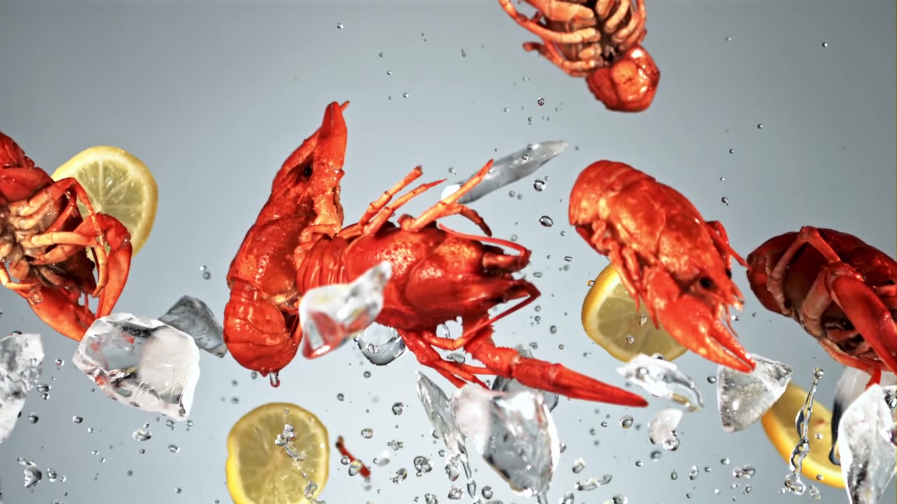 Gambero rosso, cubetti di ghiaccio e fette di limone che cadono al rallentatore
