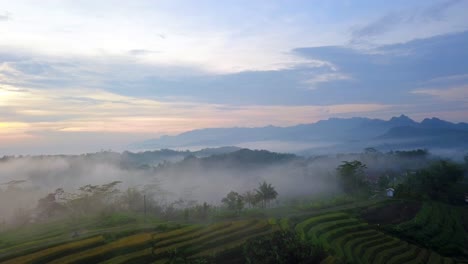 Wunderschöner-Drohnenflug-über-Tropische-Landschaften-Und-Morgens-Mit-Mystischem-Nebel-Bedeckte-Reisfelder---Epische-Naturaufnahmen-Asiens