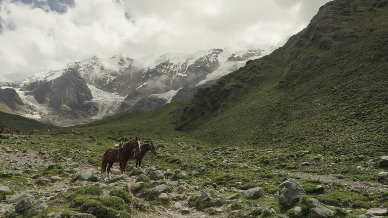 dos caballos estacionados con la montaña de nieve en el fondo humantay salkantay, cusco perú