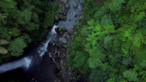 Wasserfall-Und-Fluss,-Umgeben-Von-Bäumen-Und-Gras-Am-Morgen