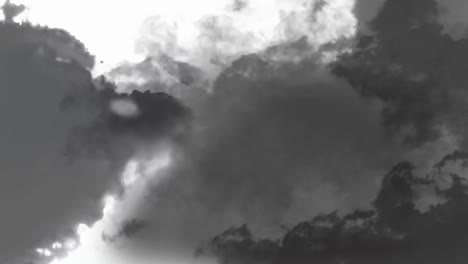 animación de sombras negras y grises sobre fondo blanco