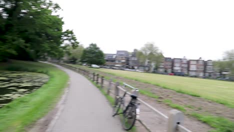 mirando en el parque en arnhem