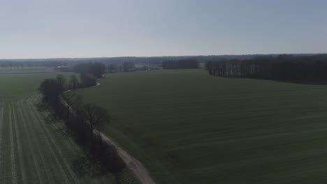 Drone-shot-of-tree-line-on-backroad-and-farm-fields