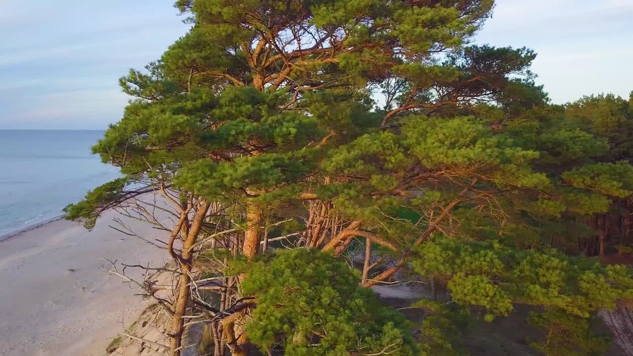 Beautiful aerial establishing view of Baltic sea coast on a sunny evening, golden hour, beach with white sand, coastal erosion, climate changes, wide angle rotating drone shot