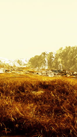 golden mountain landscape