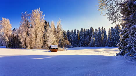a snow-white meadow in the woods looks like a christmas landscape