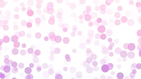 cute abstract motion background loop, pink and purple bokeh spots on white