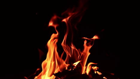 wood burning in the campfire. cozy warm view of a beautiful bonfire at night. close up.