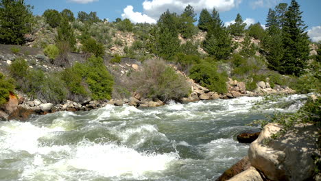 rapid stream in the rocky mountains