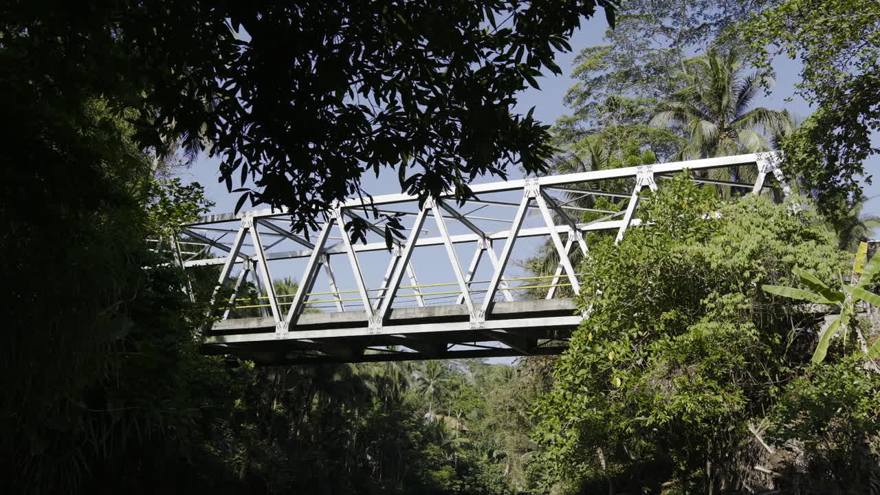 Metal Bridge over a River in a Lush Tropical Forest