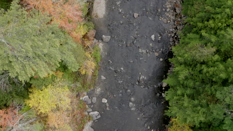 top down aerial view of a wide river flowing through a forest in the adirondack mountains of new york
