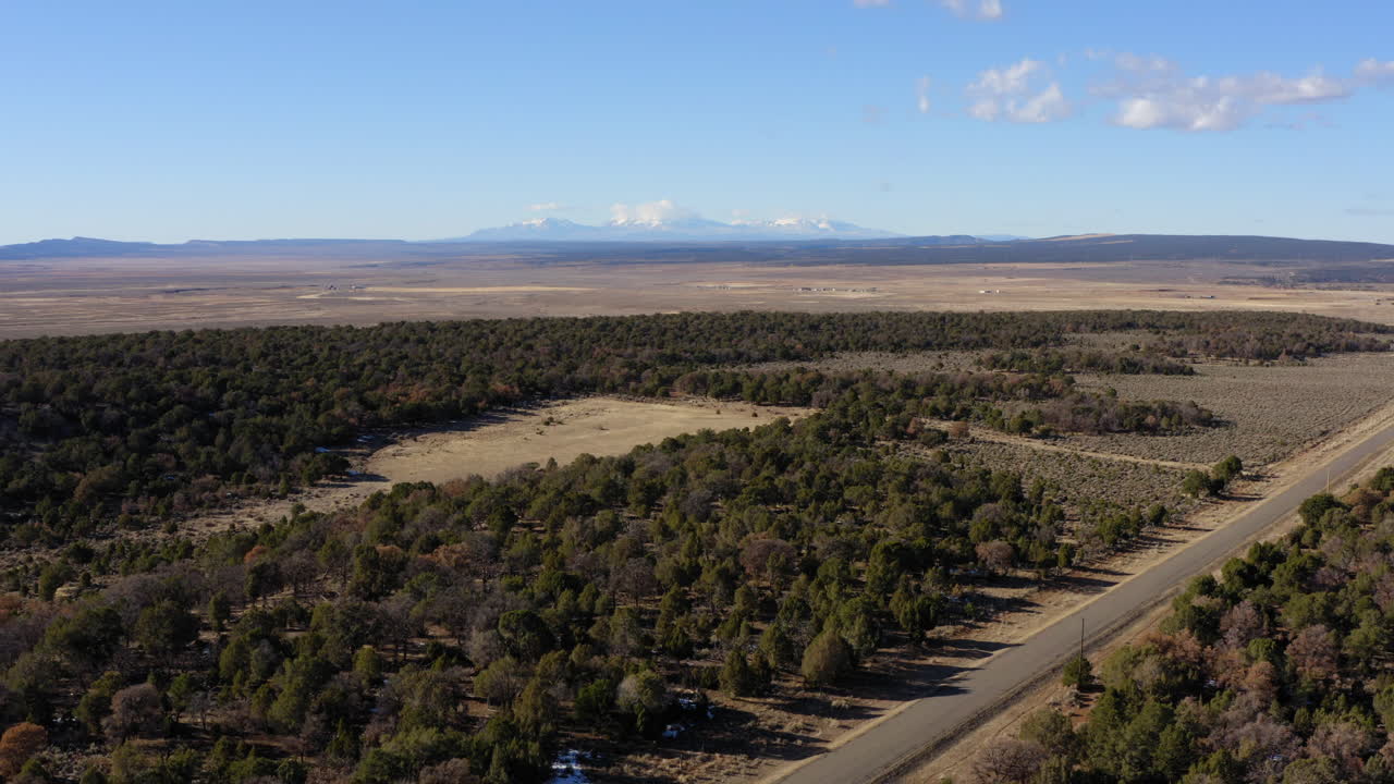 푸른 나무로 둘러싸인 콜로라도 노우드의 고속도로 조감도