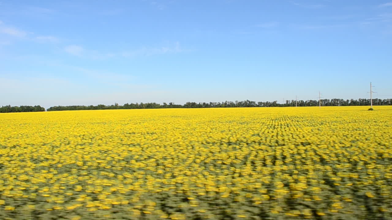 Vista del campo dal treno. Riprese in movimento.