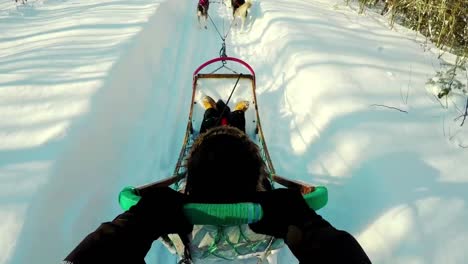 Woman-on-a-sleigh-ride-with-Siberian-husky