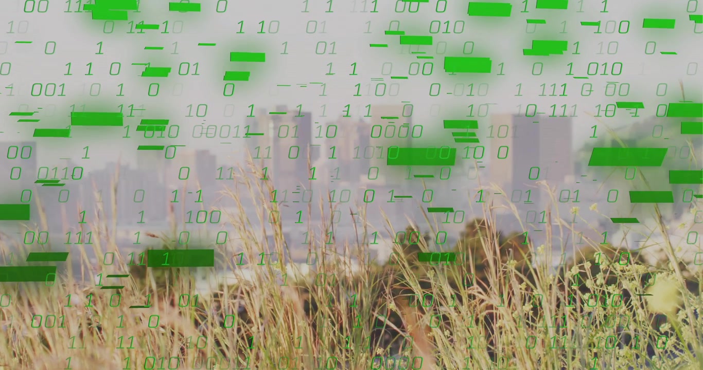 Erba che si erge, con una sovrapposizione binaria verde che inizia allo skyline, scorrendo verso il basso e nascondendo la parte anteriore, mostrando la tecnologia.