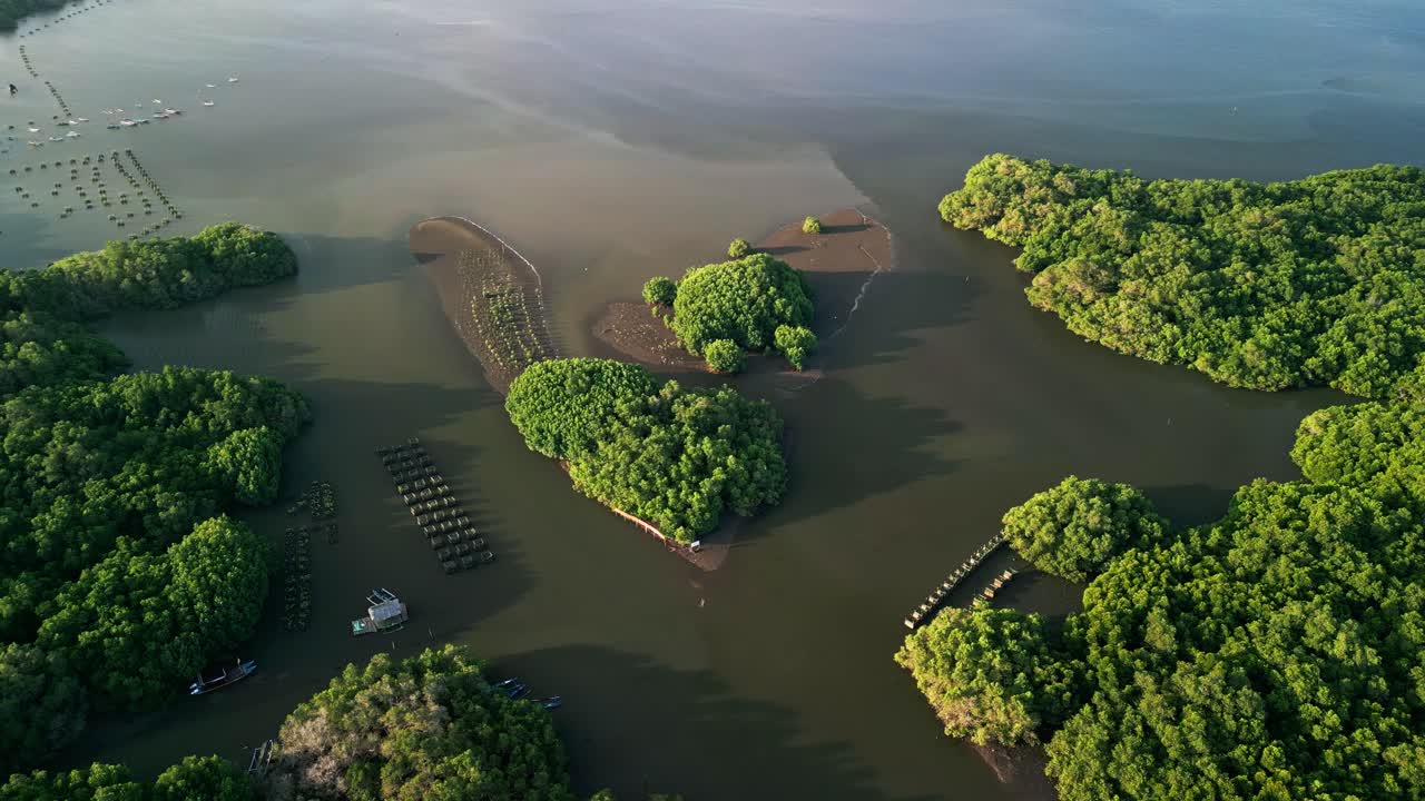 Aerial view of a mangrove island