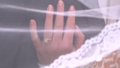 romantic and elegant bride and groom under the brides veil