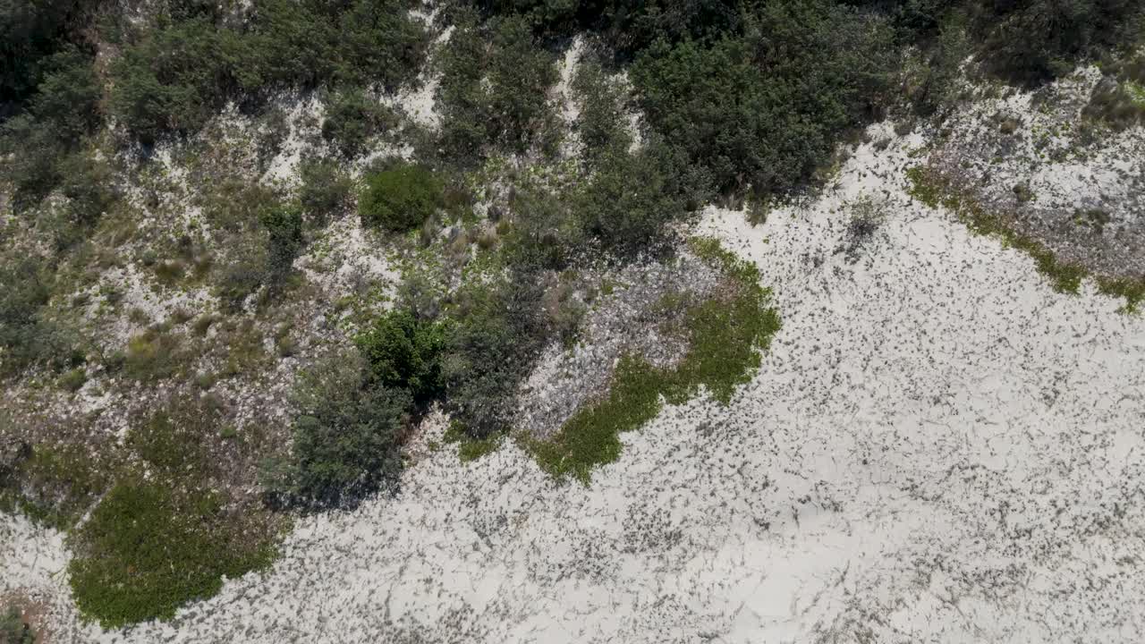 드론은 바다의 파도, 해변, 해안 식물 등을 포착합니다.