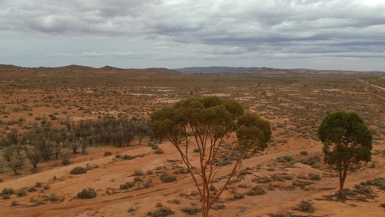 Flying towards a lone tree in the outback of Australia