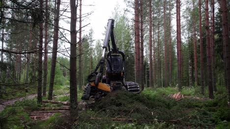 tomada lateral aérea de la maquinaria forestal y forestal escandinava finlandesa ponsse escorpión cosechadora filmada con dji air 2s