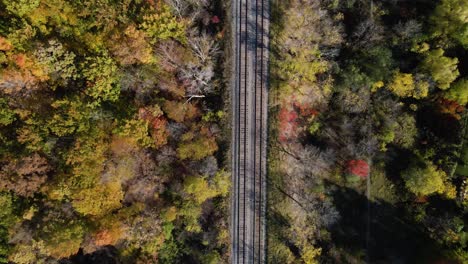 Aerial-top-down-shot-of-train-tracks-in-the-middle-of-autumn-forest