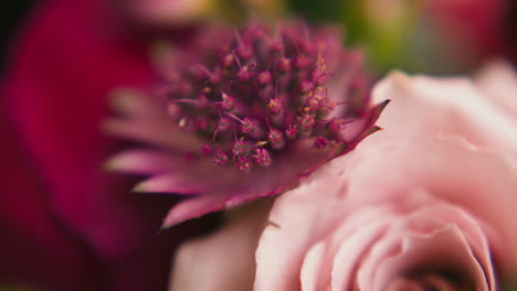 flores frescas de colores suaves dispuestas en un ramo festivo