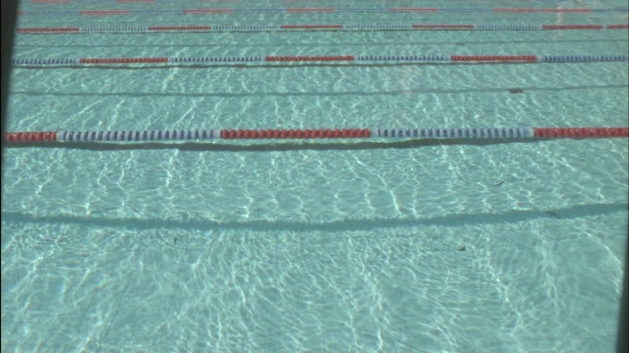 수영장을 가로지르는 여성 수영 선수들