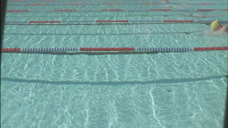 female swimmers race across a pool