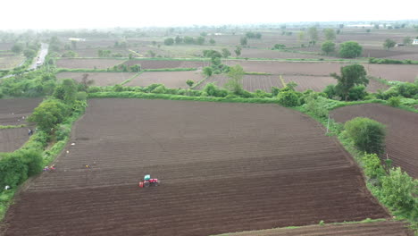 agricultural field with tractor and farm workers