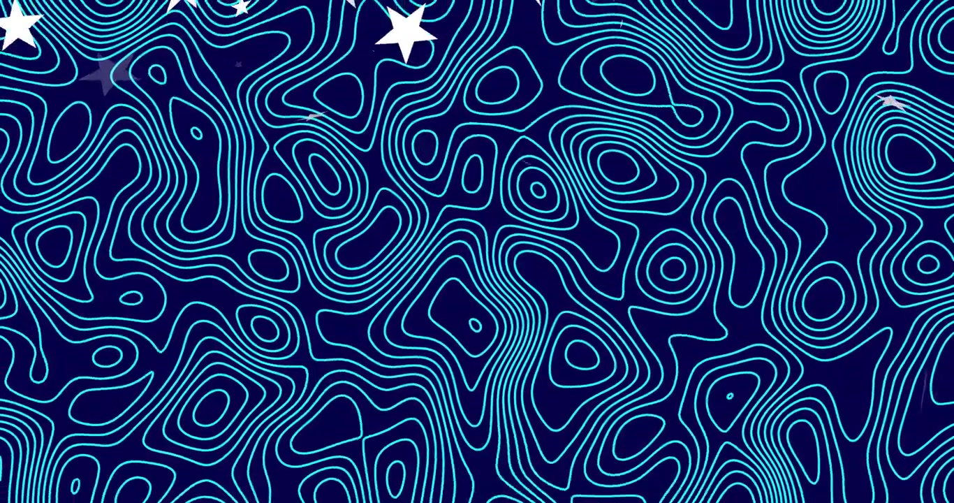 Star and bird shapes appearing at top-right and moving across contour lines, guiding design focus