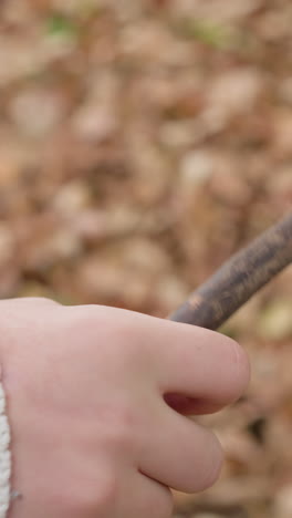 primer plano de la mano de un niño con una chaqueta azul sosteniendo y girando un palo seco, rodeado de follaje de otoño borroso, mostrando la exploración lúdica y la conexión con la naturaleza durante la actividad al aire libre