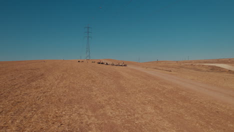 Vista-Aérea-De-Una-Pastora-Con-Ovejas-En-Una-Zona-Desértica-Remota,-Cerca-De-Grandes-Postes-De-Energía-Y-Una-Vía-De-Tren-De-Carga,-Tierra-Seca-Sin-Cultivos,-Tiro-De-Empuje