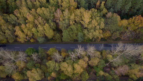 Aerial-View-Of-Vehicles-Driving-Through-The-Asphalt-Road-Between-The-Lush-Forest-During-Autumn