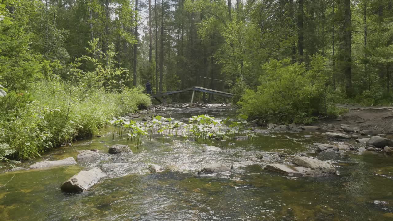 río forestal con puente de madera