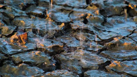 rain after drought hope and sunlight for climate change over cracked soil ground