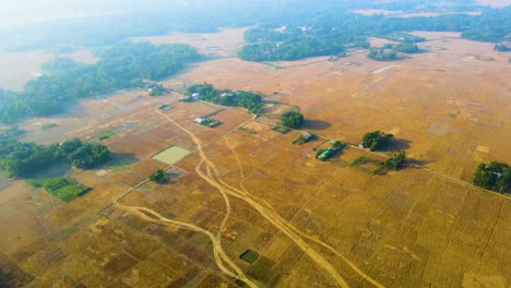 Antena-De-Tierras-De-Cultivo-Doradas-En-Temporada-De-Cosecha,-Campo-De-Bangladesh