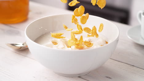 cereales de copos de maíz dorados vertiendo en cámara lenta en un tazón blanco de leche en una mesa de la cocina