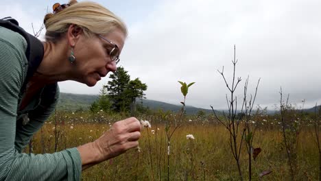 Closeup-of-pretty,-blonde,-mature-woman-looking-at-cotton-grass-at-Cranberry-Glades-Botanical-Area-boardwalk