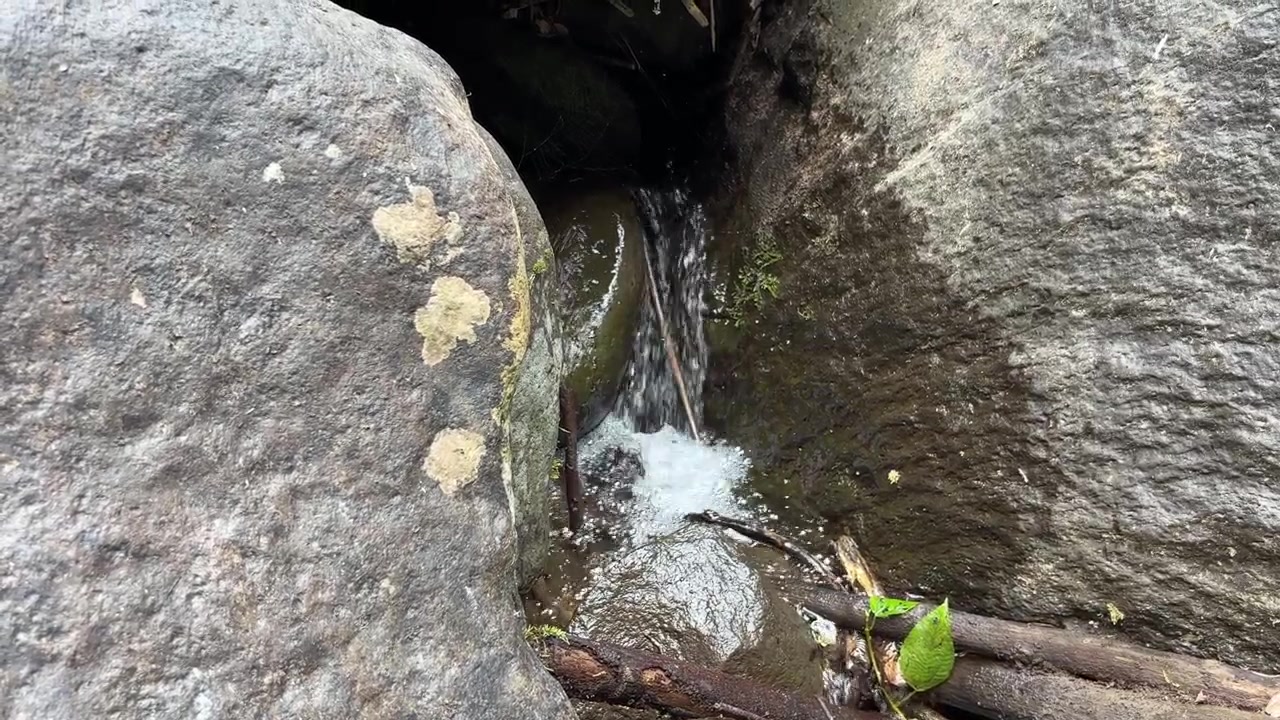 Small Stream Flowing Between Large Mossy Rocks in Forest