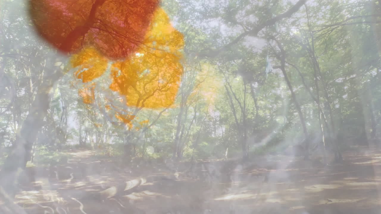 Smiling strawberry and green fruit animation over sunny forest background