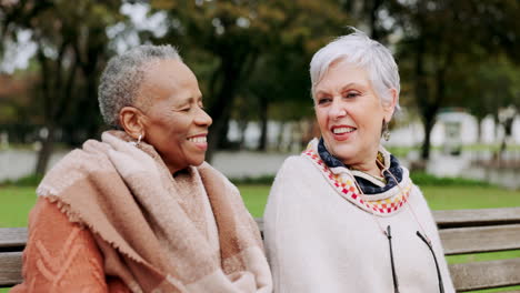 Mujeres-Mayores-En-Un-Banco-En-El-Parque-Con-Una-Sonrisa