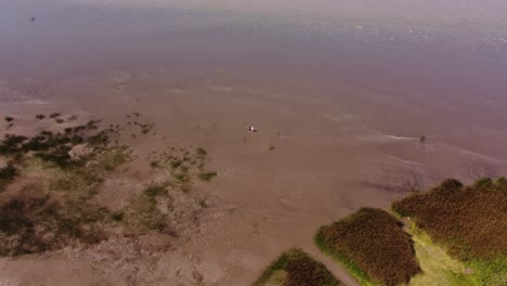 Lonely-duo-walking-at-Vicente-Lopez-Buenos-Aires-aerial