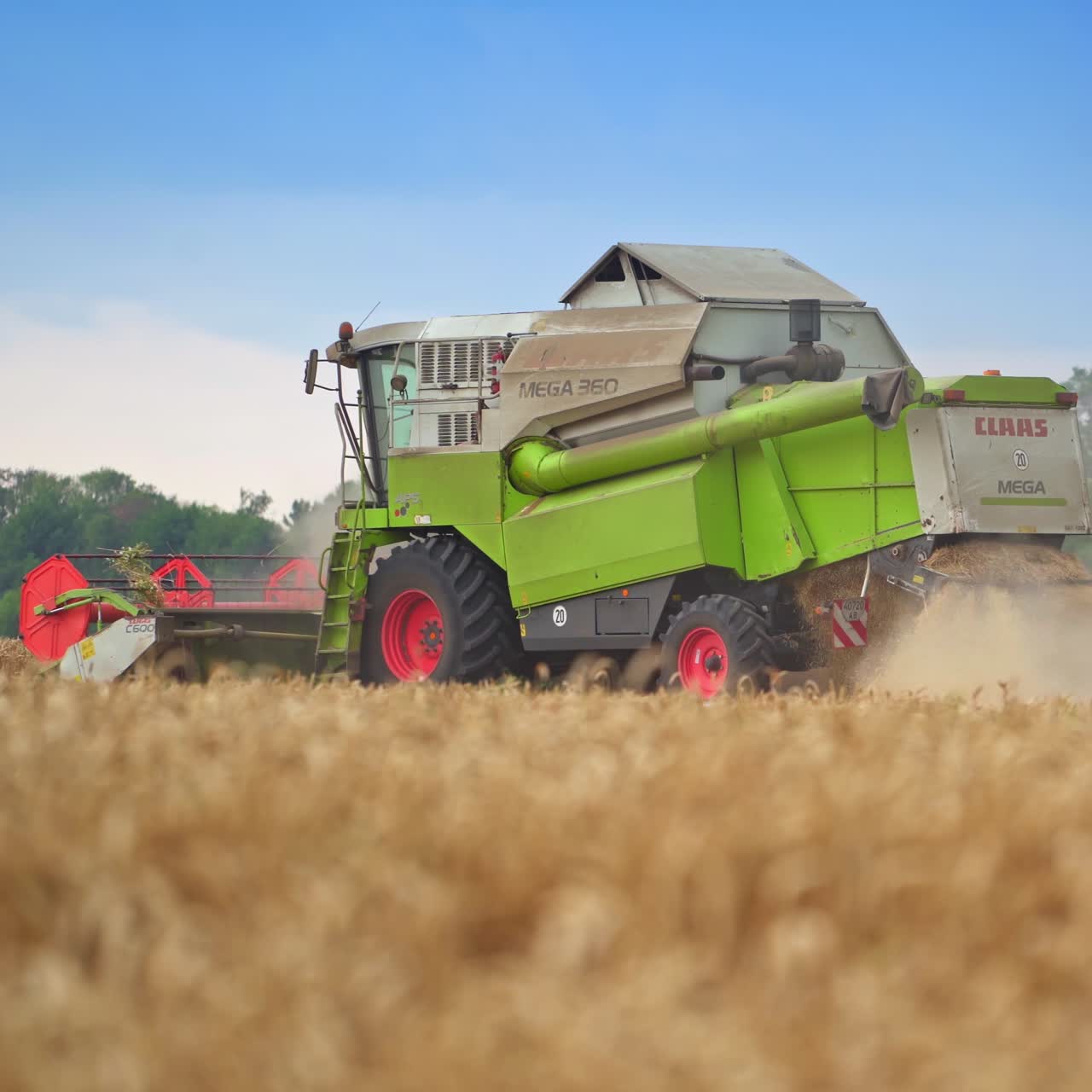 Big harvester on yellow land. Agricultural harvesting machine work in field