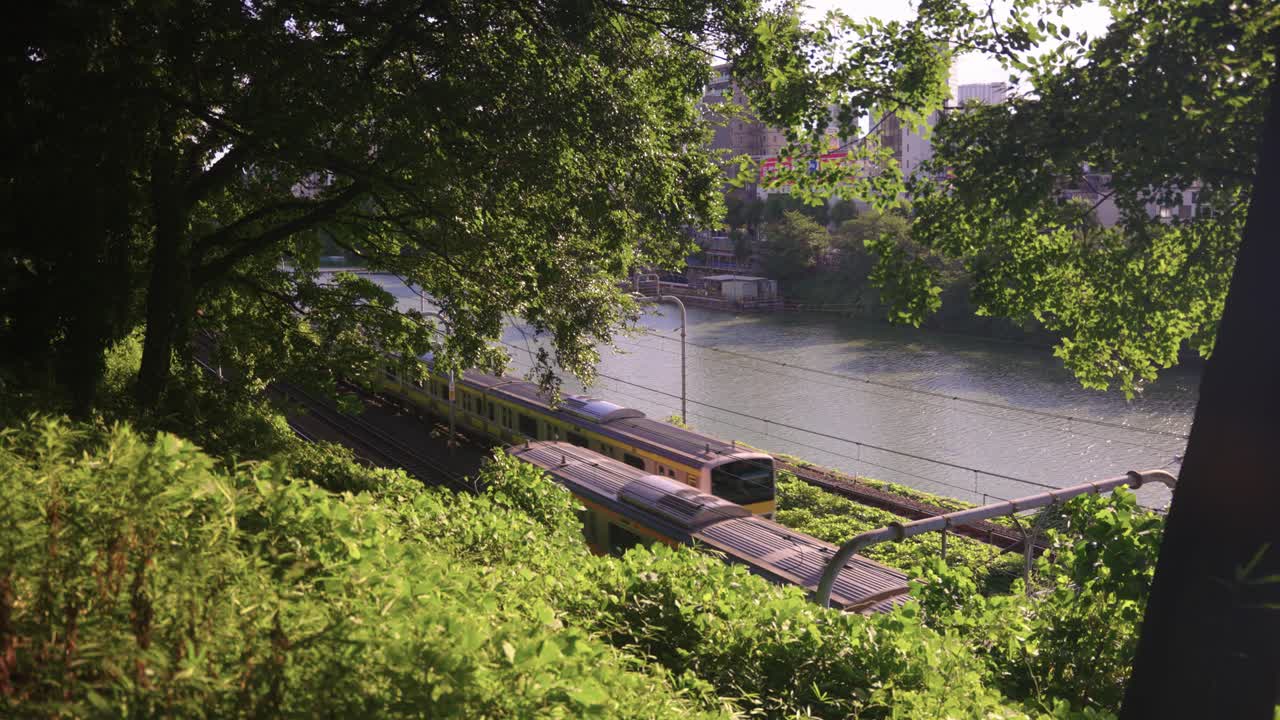 Tokyo Trains Passing in Background on Warm Afternoon in Japan